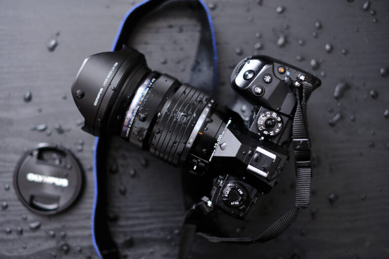 What is a Micro Four Thirds Camera? (And Do You Need One?)